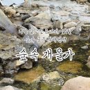 숲속개울가 이미지