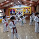 용인대 청명 태권도 이미지