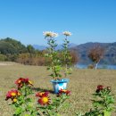 합천군 골프연습장 이미지