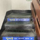 [서울/충무로 맛집] 충무로 직장인 점심 추천 | 김밥 맛집 밥채콩 내돈내산 추천후기