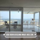 구룡포농협호미곶지점마트 | 포항 호미곶 펜션 비치드웨일 풀빌라 1월의 선물 오션뷰 8인 숙박 후기