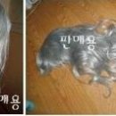 승진사 이미지