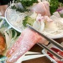2981 | 가락시장 맛집 가락몰횟집 성진일식 정식코스 솔직후기