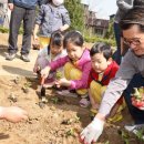 낙성대동-31 이미지