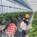 지예슬어린이집 이미지