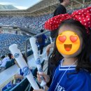 주식회사솔리드 | 삼성 라이온즈 야구 응원봉 DIY, 응원봉 셀프제작후기