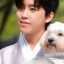 예 Daum카페