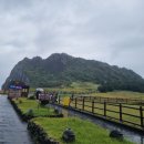성산읍-5 | 제주 서귀포 성산읍 성산일출봉 트레킹 후기