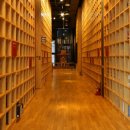 지혜의 숲 이미지