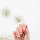 네일핏 - 성북구 정릉로26길 16 | 네일핏