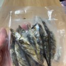 도기머기 이미지