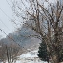 모곡마트