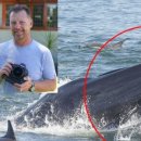 요나고래 이미지