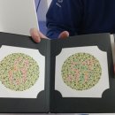 다비치안경 팔용동주민센터 옆점 이미지