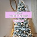 인천 영종도 에어비앤비 숙소 Stay. Grape [스테이.그레이프]