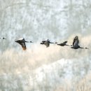 동트는 아침 이미지