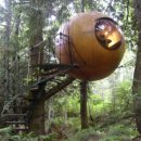 호텔 숲 이미지