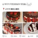 베리스베어