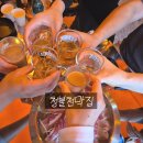 커피집술집 | 당진 대덕동 술집 청불 천막집 안주 다양해서 좋았던 단체 모임 후기