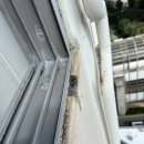 대동 아파트 실리콘 공사 이미지