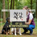 왈가왈부 반려견센터 이미지