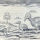 도도바이오 이미지