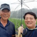 3형제농장 이미지