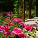 송도 해돋이공원 이미지