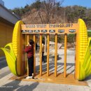 홍천(서울)휴게소 할리스
