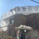 오늘은 쌈밥 | [연희동] 녹원쌈밥 혼밥 후기 제육 오징어 쌈밥