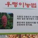 황석산 청소년 수련원 이미지