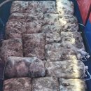 쭈꾸미스타 이미지