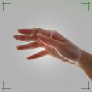 엔디피(NDP) 이미지