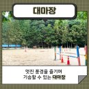 충무승마장