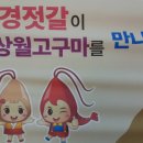 강경청정젓갈 이미지