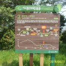 아미초교 이미지