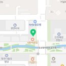 두잉창의코딩 | [NYPC 2026 개편 전격 분석] 루키 트랙(Rookie Track) 상세 규정 총정리! 달라진 점과 준비 꿀팁 안내