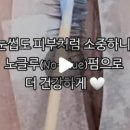 버니왁싱 네이버블로그