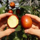 광암마트 이미지