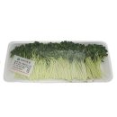 GreenFarm 이미지