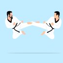 단 태권도 이미지