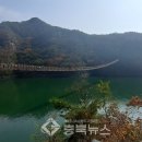 출렁다리(3) 이미지