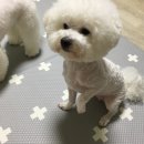 새가야약국 이미지