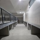 스파렉스 이미지