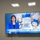 kbs경인뉴스에 펭수등판ㅋ 이미지