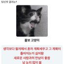 역전 할머니 맥주(동대점)