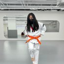 사랑한태권도 이미지
