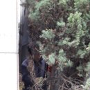 성원주유소 이미지