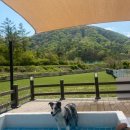 찰리팜하우스 이미지