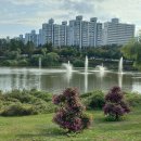 배다리공원 이미지